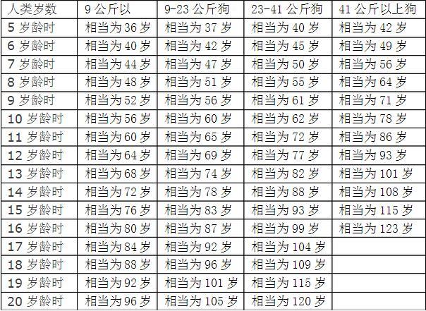 十二生肖狗年龄对照表图片