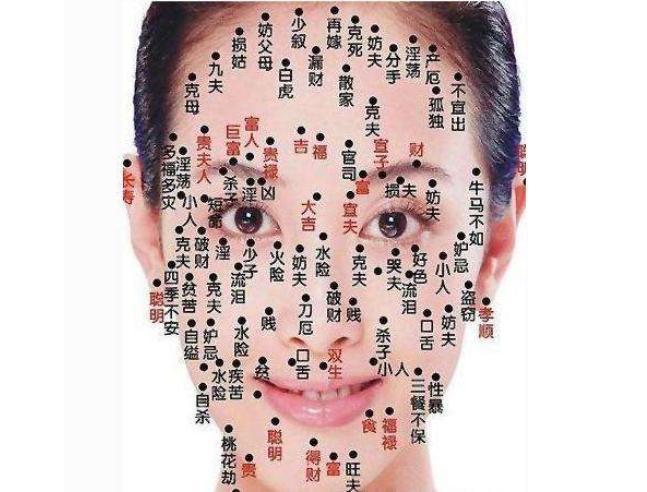女人面相脸型分析图解图片