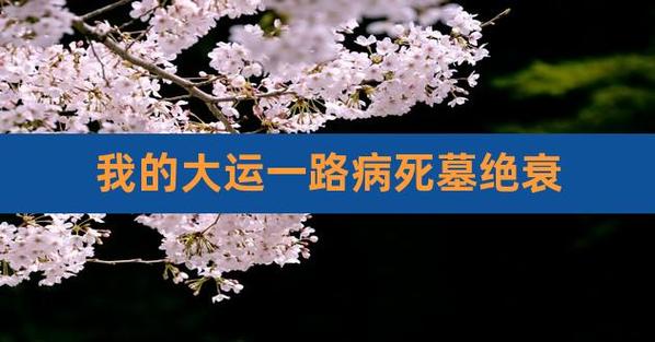 大运全是衰病死墓绝,是不是这辈子就没希望了?我的八字:癸酉,辛酉.