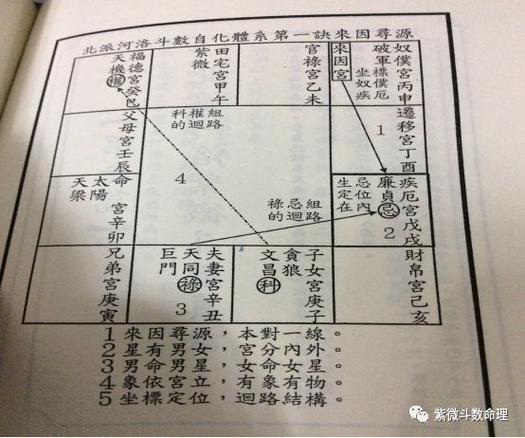 紫微斗数大师楚天云阔作品北派河洛紫微斗数纵横录