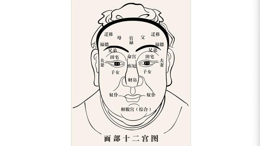 太阳骨突出面相图片