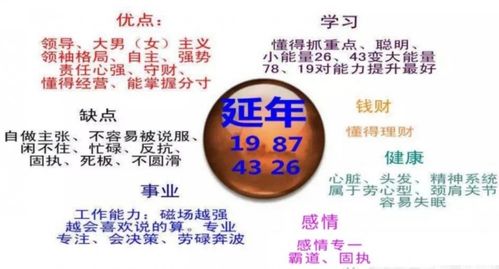 数字能量学绝命图片